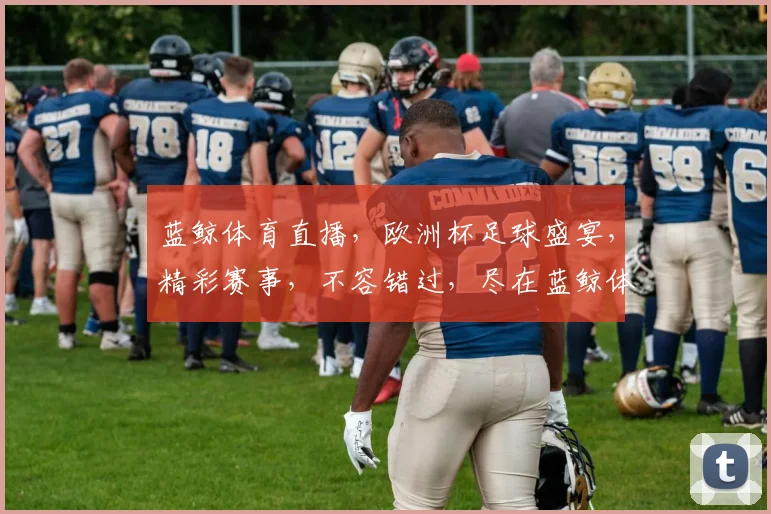 蓝鲸体育直播，欧洲杯足球盛宴，精彩赛事，不容错过，尽在蓝鲸体育，3场精彩对决，等你来观战，